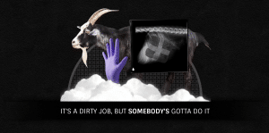 goat