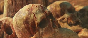skull 11