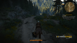witcher32