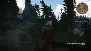 witcher35