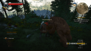 witcher36