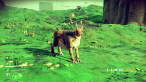 nms59