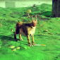 nms59